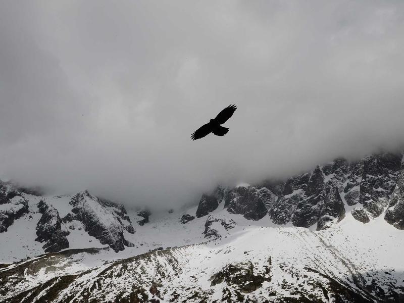美丽新世界<br>bcxjjkz.cn 苏摩镇静剂